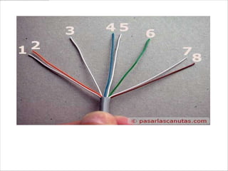 desenrollo los cables, poniendo mucha
atención, hasta el borde de la camisa (una
vuelta más), y los coloco así: 1-blanco
pareja de naranja, 2-naranja, 3-blanco
pareja de verde, 4-azul
 