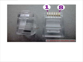 Y dos conectores RJ-45 (vemos la numeración de las conexiones
del 1-8)
 