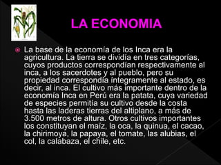  La base de la economía de los Inca era la 
agricultura. La tierra se dividía en tres categorías, 
cuyos productos correspondían respectivamente al 
inca, a los sacerdotes y al pueblo, pero su 
propiedad correspondía íntegramente al estado, es 
decir, al inca. El cultivo más importante dentro de la 
economía Inca en Perú era la patata, cuya variedad 
de especies permitía su cultivo desde la costa 
hasta las laderas tierras del altiplano, a más de 
3.500 metros de altura. Otros cultivos importantes 
los constituyan el maíz, la oca, la quinua, el cacao, 
la chirimoya, la papaya, el tomate, las alubias, el 
col, la calabaza, el chile, etc. 
 