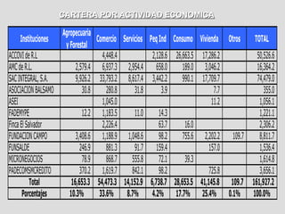 CARTERA POR ACTIVIDAD ECONOMICA

                    Agropecuaria
      Instituciones               Comercio Servicios Peq Ind Consumo     Vivienda    Otros   TOTAL
                     y Forestal
ACCOVI de R.L                       4,448.4           2,128.6 26,663.5    17,286.2        50,526.6
AMC de R.L.               2,579.4 6,937.3 2,954.4 658.0          189.0     3,046.2        16,364.2
SAC INTEGRAL, S.A.        9,926.2 33,793.2 8,617.4 3,442.2       990.1    17,709.7        74,479.0
ASOCIACION BALSAMO           30.8     280.8     31.8      3.9                  7.7           355.0
ASEI                                1,045.0                                   11.2         1,056.1
FADEMYPE                     12.2 1,183.5       11.0     14.3                              1,221.1
Finca El Salvador                   2,226.4              63.7     16.0                     2,306.2
FUNDACION CAMPO           3,408.6 1,188.9 1,048.6        98.2    755.6     2,202.2 109.7   8,811.7
FUNSALDE                    246.9     881.3     91.7 159.4                   157.0         1,536.4
MICRONEGOCIOS                78.9     868.7    555.8     72.1     39.3                     1,614.8
PADECOMSMCREDITO            370.2 1,619.7      842.1     98.2                725.8         3,656.1
           Total        16,653.3 54,473.3 14,152.9 6,738.7 28,653.5      41,145.8 109.7 161,927.2
       Porcentajes     10.3%       33.6% 8.7% 4.2% 17.7%                  25.4% 0.1% 100.0%
 