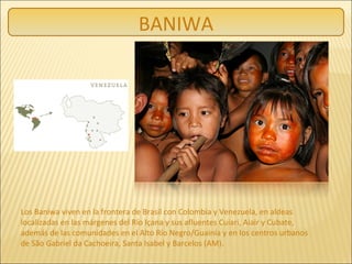 Los Baniwa viven en la frontera de Brasil con Colombia y Venezuela, en aldeas
localizadas en las márgenes del Río Içana y sus afluentes Cuiari, Aiair y Cubate,
además de las comunidades en el Alto Río Negro/Guainía y en los centros urbanos
de São Gabriel da Cachoeira, Santa Isabel y Barcelos (AM).
BANIWA
 