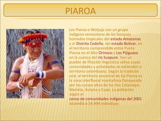 Los Piaroa o Wotjuja son un grupo
indígena venezolano de los bosques
húmedos tropicales del estado Amazonas
y el Distrito Cedeño, del estado Bolívar, en
el territorio comprendido entre Punta
Piaroa en el Alto Orinoco y Los Pijiguaos
en la cuenca del río Suapure. Son un
pueblo de filiación lingüística sáliva cuyas
comunidades y actividades se extienden a
territorio colombiano. Según la tradición
oral, el territorio ancestral de los Piaroa es
la zona interfluvial montañosa flanqueada
por los cursos altos de los ríos Cataniapo,
Marieta, Autana y Cuao. La población
según el
censo de comunidades indígenas del 2001
ascendía a 14.494 individuos
PIAROA
 