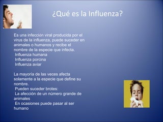 ¿Qué es la Influenza?

Es una infección viral producida por el
virus de la influenza, puede suceder en
animales o humanos y recibe el
nombre de la especie que infecta.
 Influenza humana
 Influenza porcina
 Influenza aviar

La mayoría de las veces afecta
solamente a la especie que define su
nombre.
 Pueden suceder brotes:
 La afección de un número grande de
animales
 En ocasiones puede pasar al ser
humano
 