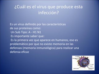 ¿Cuál es el virus que produce esta
                infección?

Es un virus definido por las características
de sus proteínas como:
Un Sub Tipo: A - H1 N1
Es importante saber que:
Es la primera vez que aparece en humanos, eso es
problemático por que no existe memoria en las
defensas (memoria inmunológica) para realizar una
defensa eficaz
 