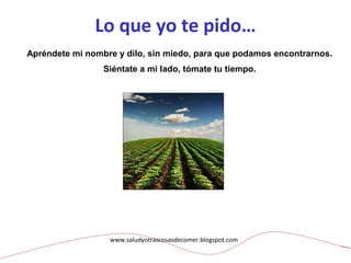 Lo que yo te pido…
Apréndete mi nombre y dilo, sin miedo, para que podamos encontrarnos.
Siéntate a mi lado, tómate tu tiempo.
www.saludyotrascosasdecomer.blogspot.com
 