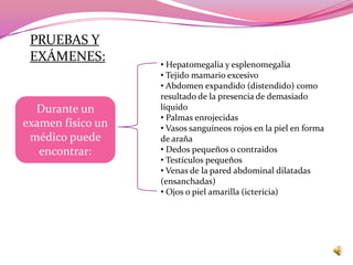 PRUEBAS Y
 EXÁMENES:         • Hepatomegalia y esplenomegalia
                   • Tejido mamario excesivo
                   • Abdomen expandido (distendido) como
                   resultado de la presencia de demasiado
  Durante un       líquido
                   • Palmas enrojecidas
examen físico un   • Vasos sanguíneos rojos en la piel en forma
 médico puede      de araña
   encontrar:      • Dedos pequeños o contraídos
                   • Testículos pequeños
                   • Venas de la pared abdominal dilatadas
                   (ensanchadas)
                   • Ojos o piel amarilla (ictericia)
 