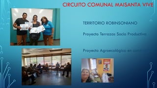 CIRCUITO COMUNAL MAISANTA VIVE
TERRITORIO ROBINSONIANO
Proyecto Terrazas Socio Productiva
Proyecto Agroecológico en construccion
 