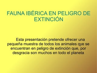 FAUNA IBÉRICA EN PELIGRO DE EXTINCIÓN Esta presentación pretende ofrecer una pequeña muestra de todos los animales qye se encuentran en peligro de extinción que, por desgracia son muchos en todo el planeta 