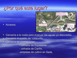 ¿Por qué este lugar? Accesos. Cercanía a la costa para evacuar las aguas ya depuradas. Cercanía al pueblo de Valdoviño. Cercanía de proveedores: - cofradía de Espasante. - cofradía de Cariño. -empresa de cultivo en Sada. 