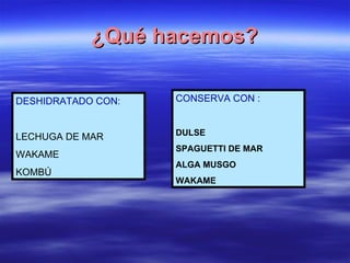 ¿Qué hacemos? DESHIDRATADO CON: LECHUGA DE MAR WAKAME  KOMBÚ CONSERVA CON : DULSE SPAGUETTI DE MAR ALGA MUSGO WAKAME 
