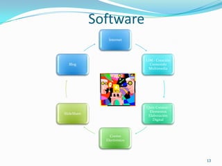 Software13