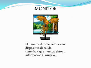 MONITOR

El monitor de ordenador es un
dispositivo de salida
(interfaz), que muestra datos o
información al usuario.

 