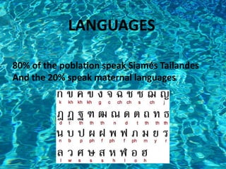 LANGUAGES
80% of the poblation speak Siamés Tailandes
And the 20% speak maternal languages