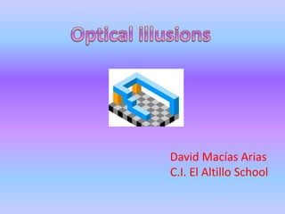 Optical illusions David Macías Arias C.I. El Altillo School 