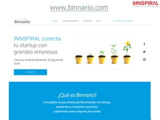 8
www.binnario.com
 