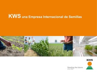KWS  una Empresa Internacional de Semillas 