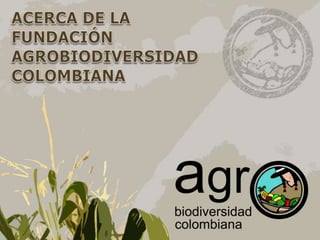 La Fundación Agro Biodiversidad
Colombiana es una organización no
gubernamental (ONG) inscrita en la
Cámara de Comercio de...