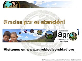 Fundación Agrobiodiversidad Colombiana