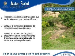 FAMILIAS GUARDABOSQUES


Proteger ecosistemas estratégicos que
estén afectadas por cultivos ilícitos.


Vincular a familias en procesos de
recuperación de ecosistemas.

Puesta en marcha de proyectos
productivos alternativos mediante
transferencia condicionada de
incentivos y acompañamiento
 