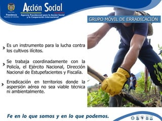 GRUPO MÓVIL DE ERRADICACIÓN




Es un instrumento para la lucha contra
los cultivos ilícitos.

Se trabaja coordinadamente con la
Policía, el Ejército Nacional, Dirección
Nacional de Estupefacientes y Fiscalía.

Erradicación en territorios donde la
aspersión aérea no sea viable técnica
ni ambientalmente.
 