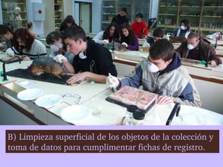 B) Limpieza superficial de los objetos de la colección y 
toma de datos para cumplimentar fichas de registro.
 
