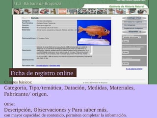 Ficha de registro online 
Campos básicos: 
Categoría, Tipo/temática, Datación, Medidas, Materiales, 
Fabricante/ origen.
Otros: 
Descripción, Observaciones y Para saber más,
con mayor capacidad de contenido, permiten completar la información.
 
