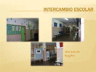 INTERCAMBIO ESCOLAR




        IES DAVID
        BUJÁN
 