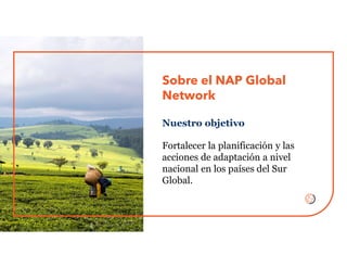Fortalecer la planificación y las
acciones de adaptación a nivel
nacional en los países del Sur
Global.
Sobre el NAP Global
Network
Nuestro objetivo
 