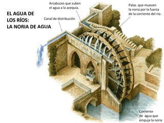 Arcabuces que suben     Palas que mueven
                     el agua a la acequia.   la noria por la fuerza
EL AGUA DE                                   de la corriente del rio.
              Canal de distribución
LOS RÍOS:
LA NORIA DE AGUA




                                                    Corriente
                                                    de agua que
                                                    empuja la noria
 
