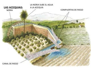 LA NORIA SUBE EL AGUA
 LAS ACEQUIAS:   A LA ACEQUIA
   NORIA                                 COMPUERTAS DE RIEGO




CANAL DE RIEGO
 