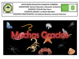 INSTITUCIÓN EDUCATIVA CAMACHO CARREÑO
     ASIGNATURA: Ciencias Naturales y Educación Ambiental
                DOCENTE TITULAR: Elisa Sierra
            DOCENTE ASESOR: Luis Martín Mendieta
DOCENTES PRACTICANTES: Yuli Katerine Bautista, Leonardo Palomino




                                                                   13
 