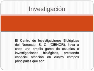 Investigación El Centro de Investigaciones Biológicas del Noroeste, S. C. (CIBNOR), lleva a cabo una amplia gama de estudios e investigaciones biológicas, prestando especial atención en cuatro campos principales que son: 