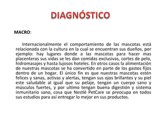 MACRO:
Internacionalmente el comportamiento de las mascotas está
relacionada con la cultura en la cual se encuentran sus dueños, por
ejemplo: hay lugares donde a las mascotas para hacer mas
placenteras sus vidas se les dan comidas exclusivas, cortes de pelo,
hidromasajes y hasta lujosos hoteles. En otros casos la alimentación
de nuestras mascotas se ha convertido en parte de los gastos fijos
dentro de un hogar. El único fin es que nuestras mascotas estén
felices y sanas, activas y alertas, tengan sus ojos brillantes y su piel
este saludable al igual que su pelaje, tengan un cuerpo sano y
músculos fuertes, y por ultimo tengan buena digestión y sistema
inmunitario sano, cosa que Nestlé PetCare se preocupa en todos
sus estudios para así entregar lo mejor en sus productos.
 