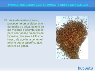 Una vez limpio y pesado el fruto se almacena en tolvas en espera de la molienda. Es importante que el tiempo de almacenamiento, sea lo más corto posible, a ser posible, triturar la aceituna antes de pasar 24 horas desde su recolección, para evitar alteraciones en la misma, que producirían aceites con mayor acidez, menor estabilidad y peor sabor.  g ALMACENAMIENTO EN TOLVAS Y TRITURADO DE LA ACEITUNA 