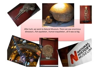 After luch, we went to Natural Museum. There we saw enormous
 dinosours , fish squeleton , human esqueleton , all it was so big.
 
