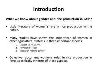 Women’s Roles in Rice Production in Northern Peru