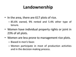 Women’s Roles in Rice Production in Northern Peru