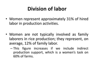 Women’s Roles in Rice Production in Northern Peru