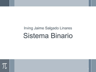 Irving Jaime Salgado Linares
1
Sistema Binario
 