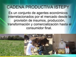 CADENA PRODUCTIVA ISTEPY Es un conjunto de agentes económicos interrelacionados por el mercado desde la provisión de insumos, producción, transformación y comercialización hasta el consumidor final.  