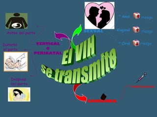 SEXUAL 
SANGUINEA 
VERTICAL 
O 
PERINATAL 
Anal 
Vaginal 
Oral 
riesgo 
riesgo 
riesgo 
Antes del parto 
Durante 
el parto 
Después 
del parto transfusiones 
 