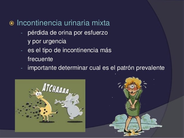 Incontinencia Urinaria (por Irene Baño y Susana Gallach) Incontinencia Urinaria (por Irene Baño y Susana Gallach)