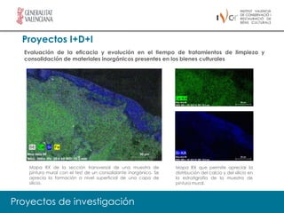 Proyectos I+D+I
  Evaluación de la eficacia y evolución en el tiempo de tratamientos de limpieza y
  consolidación de materiales inorgánicos presentes en los bienes culturales




   Mapa RX de la sección transversal de una muestra de           Mapa RX que permite apreciar la
   pintura mural con el test de un consolidante inorgánico. Se   distribución del calcio y del silicio en
   aprecia la formación a nivel superficial de una capa de       la estratigrafía de la muestra de
   silicio.                                                      pintura mural.



Proyectos de investigación
 