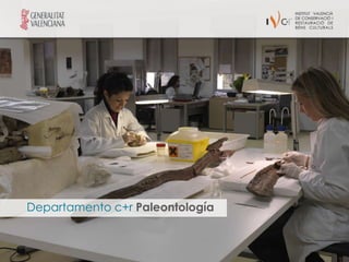 Departamento c+r Paleontología
 