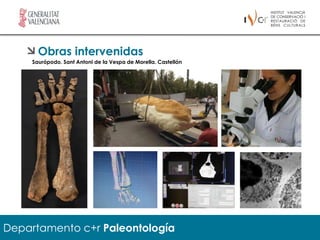 Obras intervenidas
     Saurópodo. Sant Antoni de la Vespa de Morella. Castellón




Departamento c+r Paleontología
 