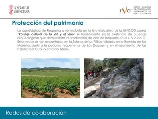 Protección del patrimonio
   La candidatura de Requena a ser incluida en la lista indicativa de la UNESCO como
   “Paisaje cultural de la vid y el vino” se fundamenta en la existencia de pruebas
   arqueológicas que demuestran la producción de vino en Requena en el s. V a de C.
   Estos restos se han encontrado en la Solana de las Pilillas –situada en la Rambla de los
   Morenos, junto a la pedanía requenense de Los Duques- y en el yacimiento de las
   Casillas del Cura –Venta del Moro-.




Redes de colaboración
 