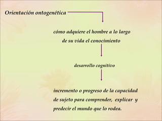 Orientación ontogenética cómo adquiere el hombre a lo largo    de su vida el conocimiento   desarrollo cognitivo incremento o progreso de la capacidad de sujeto para comprender,  explicar  y  predecir el mundo que lo rodea. 