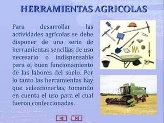 HERRAMIENTAS AGRICOLAS
Para
desarrollar
las
actividades agrícolas se debe
disponer de una serie de
herramientas sencillas de uso
necesario o indispensable
para el buen funcionamiento
de las labores del suelo. Por
lo tanto las herramientas hay
que seleccionarlas, tomando
en cuenta el uso para el cual
fueron confeccionadas.

 