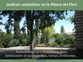 GENIUS LOCI paisajistas www.glpaisajistas.com toño sopesens PAISAJISTA AEP
Jardines sostenibles en la Ribera del Ebro
Sostenibilidad para pequeños jardines
Optimización de recursos: agua, tiempo, fertilizantes…
 