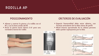 Radiographic Projections and Pathologies of Knee and Pelvis Anatomy | PDF